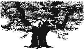 Иллюстрация к книге — Ученица Ведьмака [i_015.jpg]