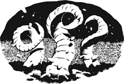 Иллюстрация к книге — Ученица Ведьмака [i_035.jpg]