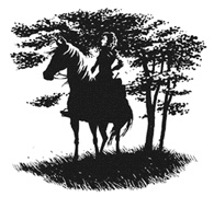 Иллюстрация к книге — Ученица Ведьмака [i_065.jpg]