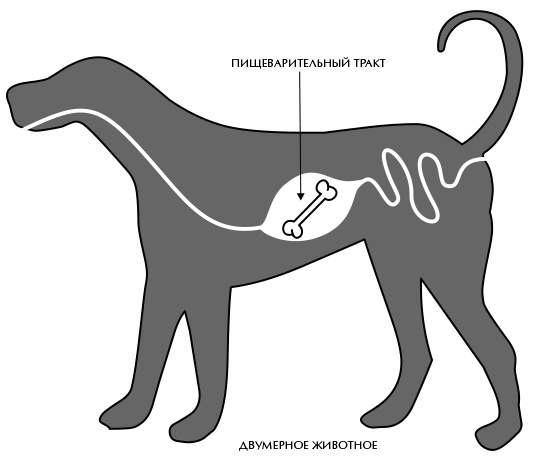 Иллюстрация к книге — Вселенная Стивена Хокинга [i_031.jpg]