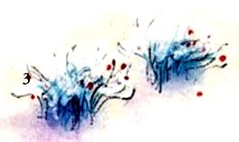 Иллюстрация к книге — Комиссар Гордон. Первое дело [pic_4.jpg]