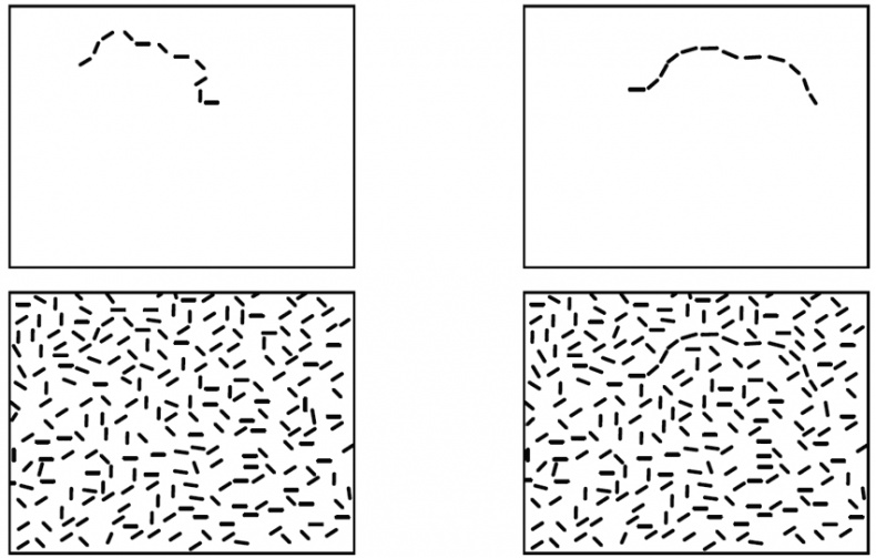 Иллюстрация к книге — Тайная жизнь мозга. Как наш мозг думает, чувствует и принимает решения [img_4.jpg]