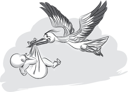 Иллюстрация к книге — Вальс гормонов 2. Девочка, девушка, женщина + "мужская партия". Танцуют все! [i_044.jpg]