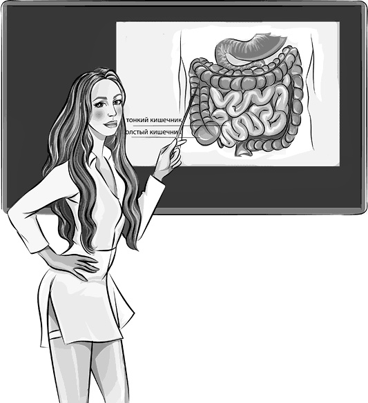 Иллюстрация к книге — Вальс гормонов 2. Девочка, девушка, женщина + &quot;мужская партия&quot;. Танцуют все! [i_052.jpg]