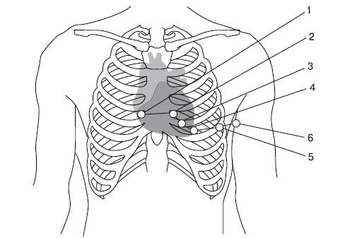 Иллюстрация к книге — Что показывает кардиограмма [i_003.jpg]