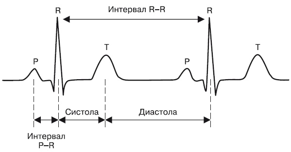 Иллюстрация к книге — Что показывает кардиограмма [i_049.jpg]