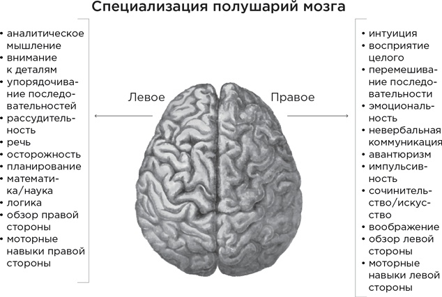 Иллюстрация к книге — Биология добра и зла. Как наука объясняет наши поступки [i_005.jpg]