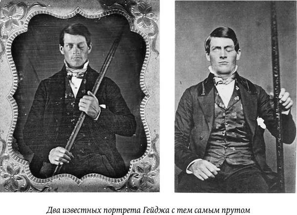 Иллюстрация к книге — Биология добра и зла. Как наука объясняет наши поступки [i_006.jpg]