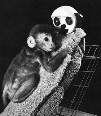 Иллюстрация к книге — Биология добра и зла. Как наука объясняет наши поступки [i_013.jpg]