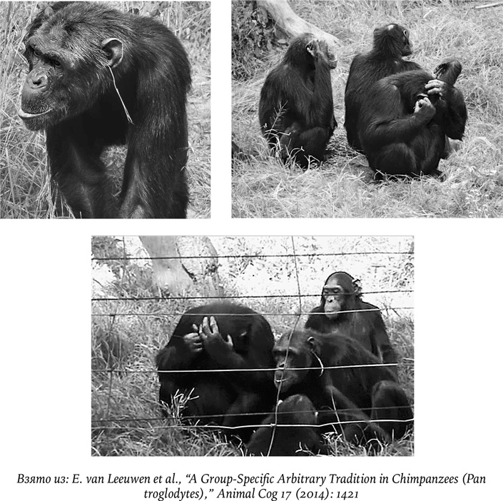 Иллюстрация к книге — Биология добра и зла. Как наука объясняет наши поступки [i_019.jpg]