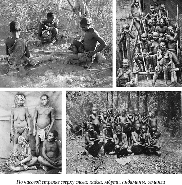 Иллюстрация к книге — Биология добра и зла. Как наука объясняет наши поступки [i_027.jpg]