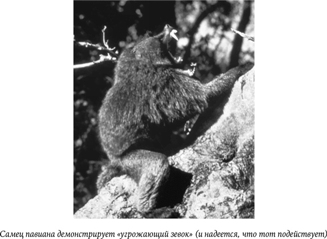 Иллюстрация к книге — Биология добра и зла. Как наука объясняет наши поступки [i_036.jpg]