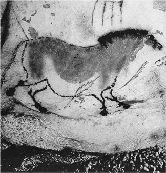 Иллюстрация к книге — Биология добра и зла. Как наука объясняет наши поступки [i_042.jpg]