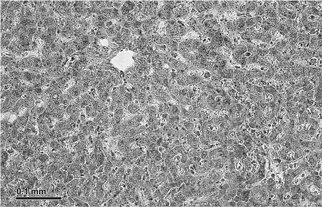 Иллюстрация к книге — Биология добра и зла. Как наука объясняет наши поступки [i_083.jpg]