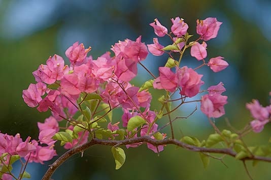 Иллюстрация к книге — Живая цифра. Книга о цвете, или Как заставить дышать цифровую фотографию [i_022.jpg]