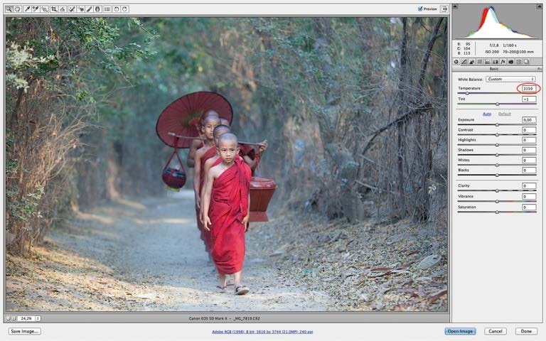 Иллюстрация к книге — Живая цифра. Книга о цвете, или Как заставить дышать цифровую фотографию [i_166.jpg]