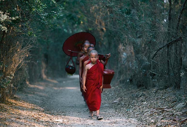 Иллюстрация к книге — Живая цифра. Книга о цвете, или Как заставить дышать цифровую фотографию [i_174.jpg]