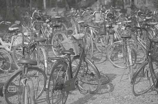 Иллюстрация к книге — Живая цифра. Книга о цвете, или Как заставить дышать цифровую фотографию [i_175.jpg]