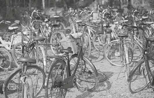 Иллюстрация к книге — Живая цифра. Книга о цвете, или Как заставить дышать цифровую фотографию [i_180.jpg]