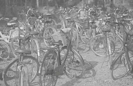 Иллюстрация к книге — Живая цифра. Книга о цвете, или Как заставить дышать цифровую фотографию [i_186.jpg]