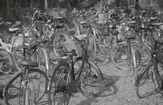 Иллюстрация к книге — Живая цифра. Книга о цвете, или Как заставить дышать цифровую фотографию [i_189.jpg]