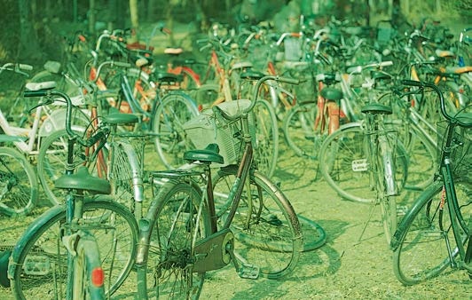 Иллюстрация к книге — Живая цифра. Книга о цвете, или Как заставить дышать цифровую фотографию [i_211.jpg]