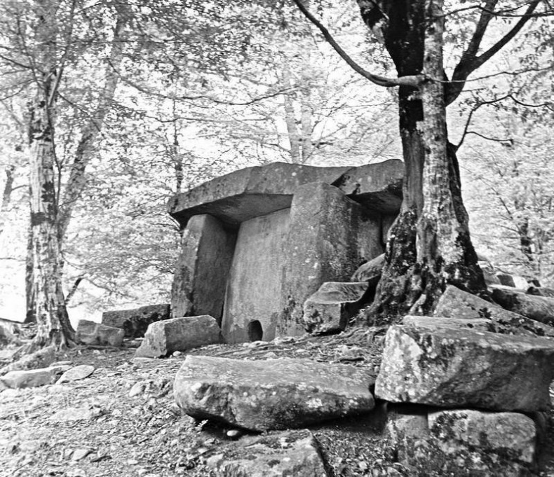 Иллюстрация к книге — Чудеса исцеления [i_015.jpg]