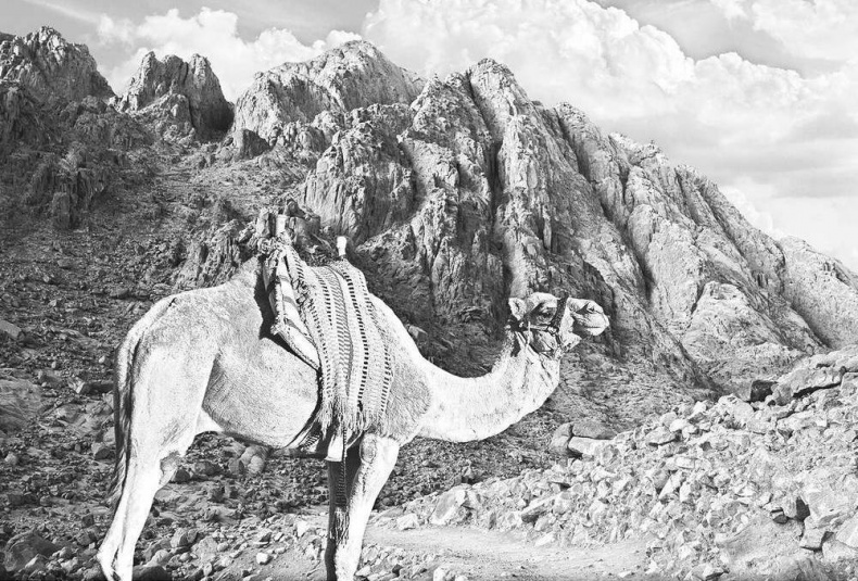 Иллюстрация к книге — Чудеса исцеления [i_022.jpg]