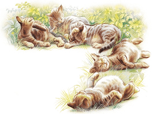 Иллюстрация к книге — Удивительные приключения Маруси [i2_007.jpg]