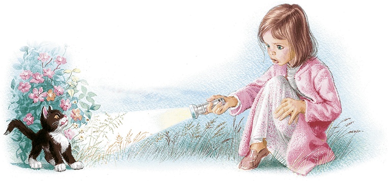 Иллюстрация к книге — Удивительные приключения Маруси [i2_053.jpg]