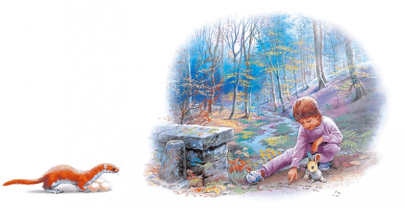 Иллюстрация к книге — Удивительные приключения Маруси [i3_012.jpg]