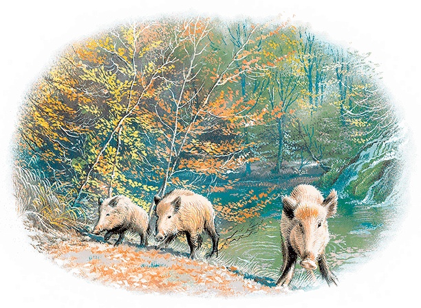 Иллюстрация к книге — Удивительные приключения Маруси [i3_014.jpg]