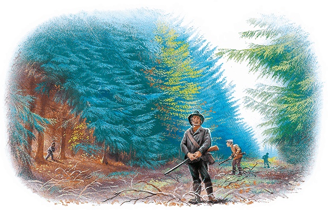 Иллюстрация к книге — Удивительные приключения Маруси [i3_017.jpg]