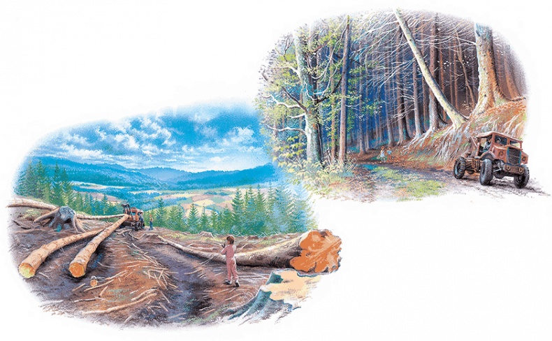 Иллюстрация к книге — Удивительные приключения Маруси [i3_021.jpg]