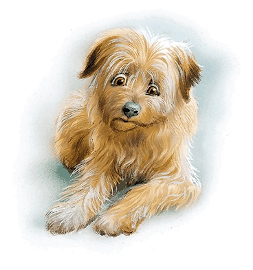 Иллюстрация к книге — Удивительные приключения Маруси [i3_037.jpg]