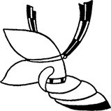 Иллюстрация к книге — Самураи. Первая полная энциклопедия [i_027.jpg]