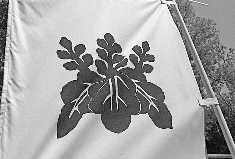 Иллюстрация к книге — Самураи. Первая полная энциклопедия [i_348.jpg]