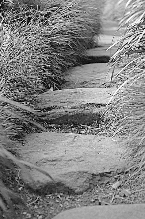 Иллюстрация к книге — Самураи. Первая полная энциклопедия [i_413.jpg]