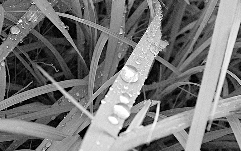 Иллюстрация к книге — Самураи. Первая полная энциклопедия [i_444.jpg]