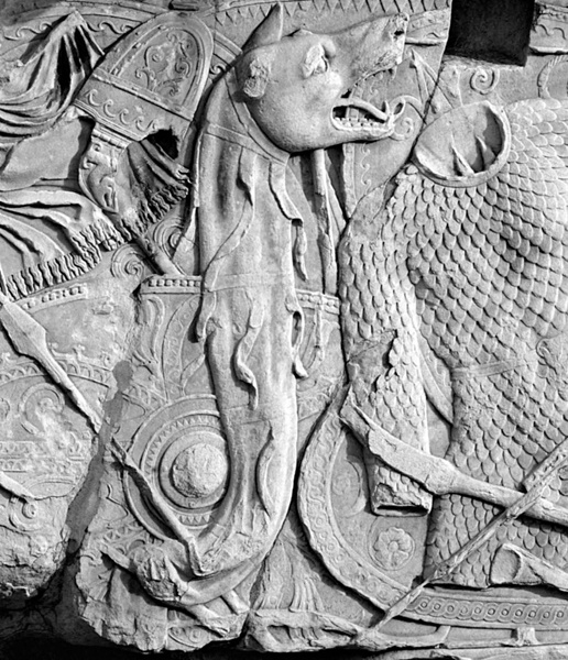 Иллюстрация к книге — Сарматы. Первая тяжелая конница степей [_2262.jpg]