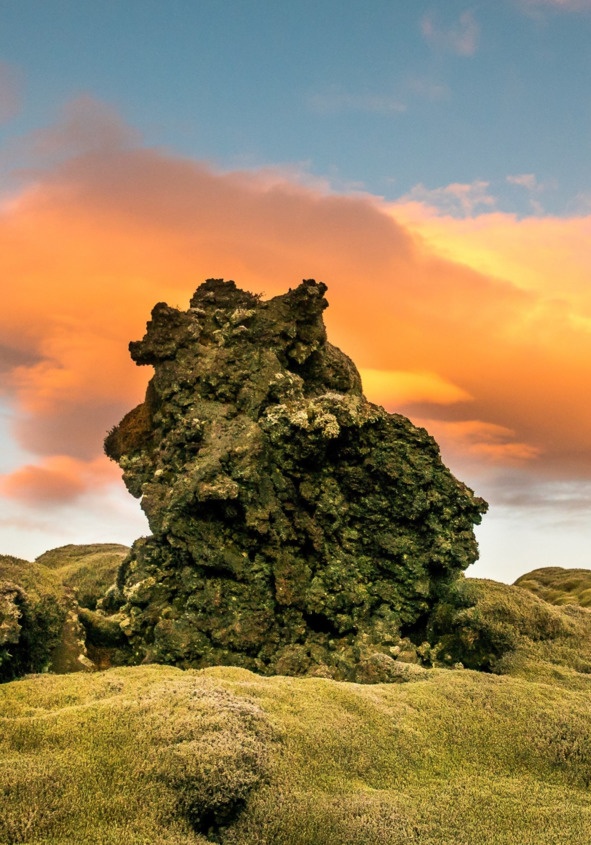 Иллюстрация к книге — Флакон счастья. Книга ароматов. Часть вторая. Парфюмерные истории [image45_5b51893e6e484f0f7a344587_jpg.jpg]