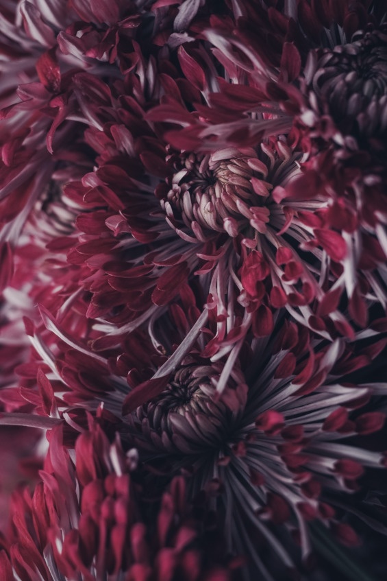 Иллюстрация к книге — Флакон счастья. Книга ароматов. Часть вторая. Парфюмерные истории [image61_5b6d3de0950164c8004ee557_jpg.jpg]