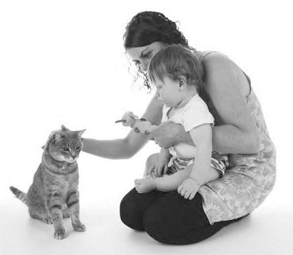 Иллюстрация к книге — Как воспитать вашу кошку [_20.jpg]