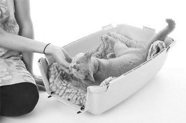 Иллюстрация к книге — Как воспитать вашу кошку [_29.jpg]