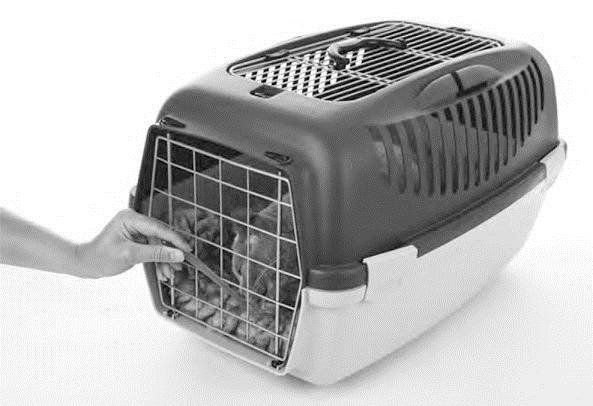 Иллюстрация к книге — Как воспитать вашу кошку [_31.jpg]