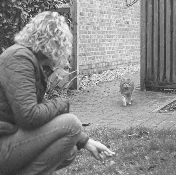 Иллюстрация к книге — Как воспитать вашу кошку [_51.jpg]