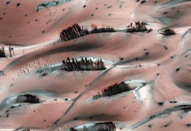 Иллюстрация к книге — Непридуманные космические истории [i_213.jpg]