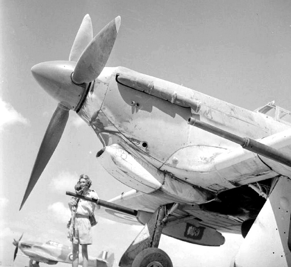 Иллюстрация к книге — «Ураганный» истребитель. «Харрикейны» в бою [i_148.jpg]