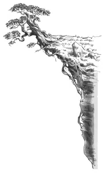 Иллюстрация к книге — Загадка города-призрака [i_033.jpg]