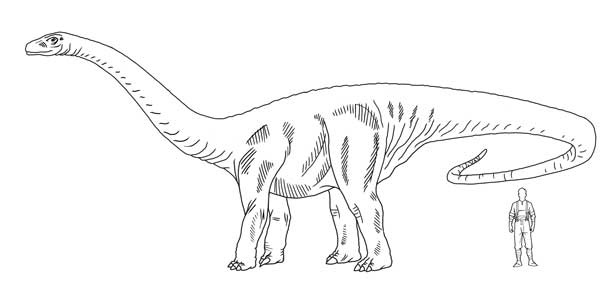 Иллюстрация к книге — Загадка города-призрака [i_077.jpg]
